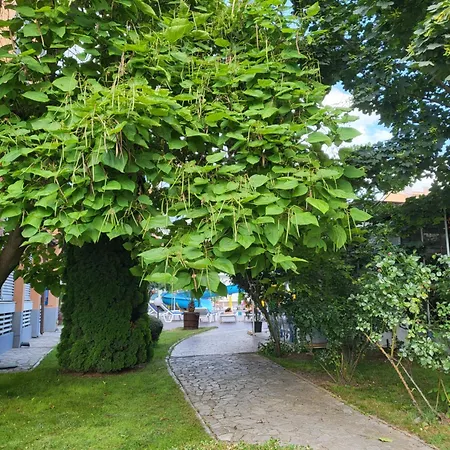 Apartament в комплекс елит